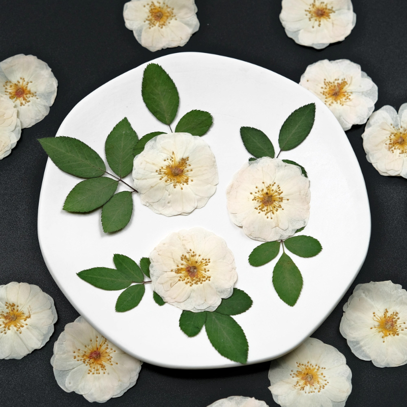 6pcs,9pcs,Nature White Rose Pr - Resin Craft Ideas ulasan dan harga