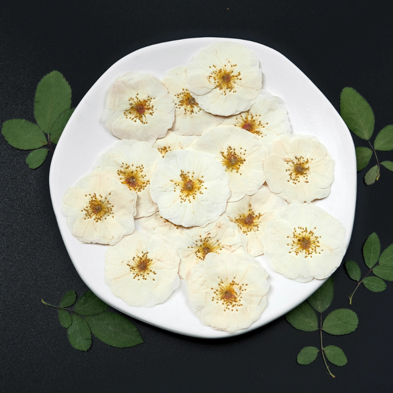 6pcs,9pcs,Nature White Rose Pr - Resin Craft Ideas ulasan dan harga